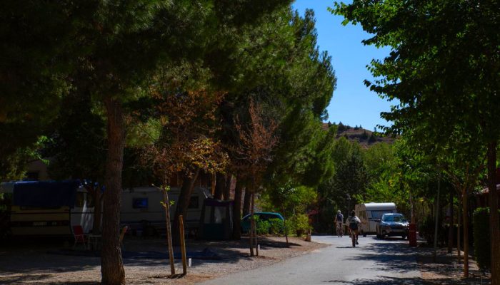 Calle interior arbolada del Camping Albarracín con autocaravanas y personas en bicicleta.