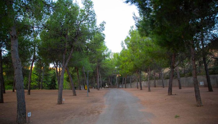 Parcelas amplias entre pinos en el Camping Albarracín con vial interior rodeado de naturaleza