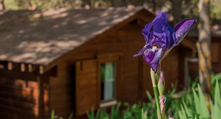 camping-albarracin-bungalows-6p-24 (21)